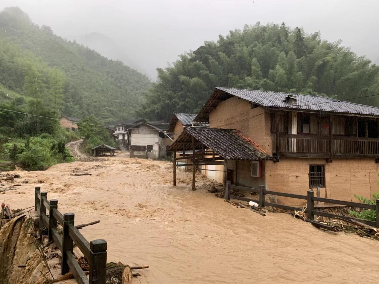 案例1：龙泉市城北乡东书村